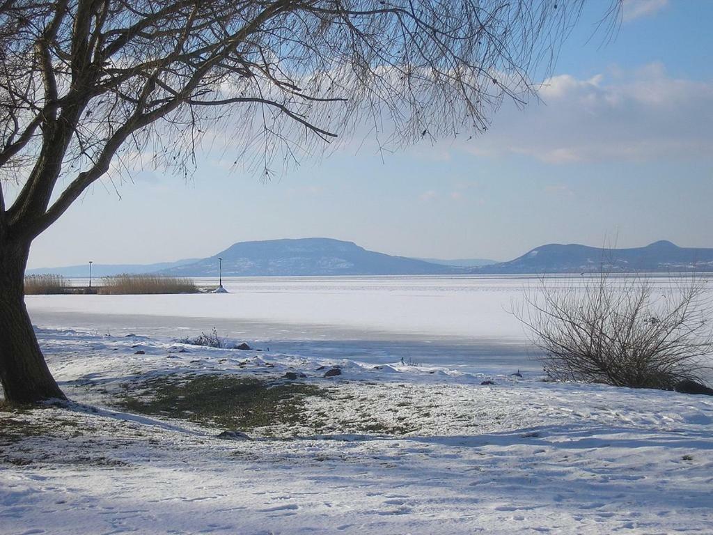 Oak Residents Siofok Διαμέρισμα Εξωτερικό φωτογραφία